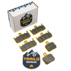 Ducati Streetfighter V2 955 2022-2024 Ceramic Brake Pad Set