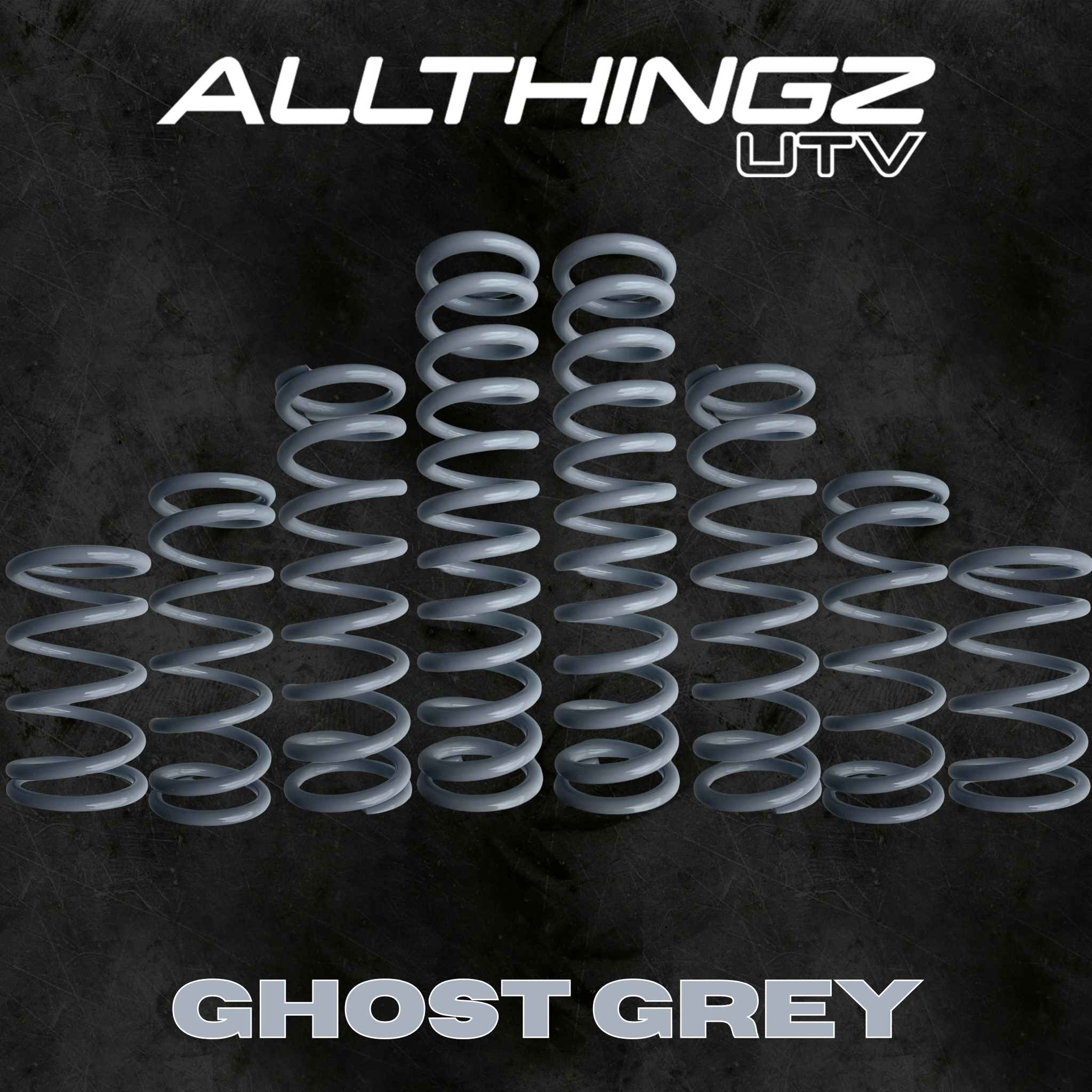 Polaris RZR Pro R 4 Seater Dual Rate Spring Kit