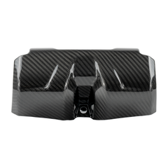 RPM Carbon Fiber Kawasaki H2 Seat Belt Covers (2pc)