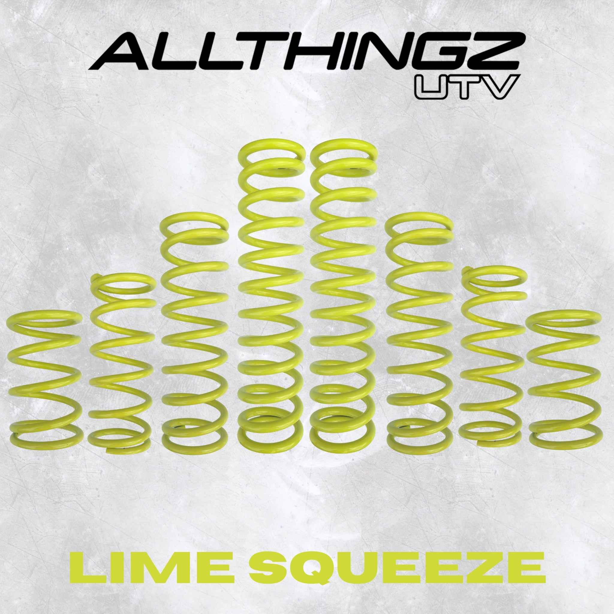 Polaris RZR Pro R 4 Seater Dual Rate Spring Kit