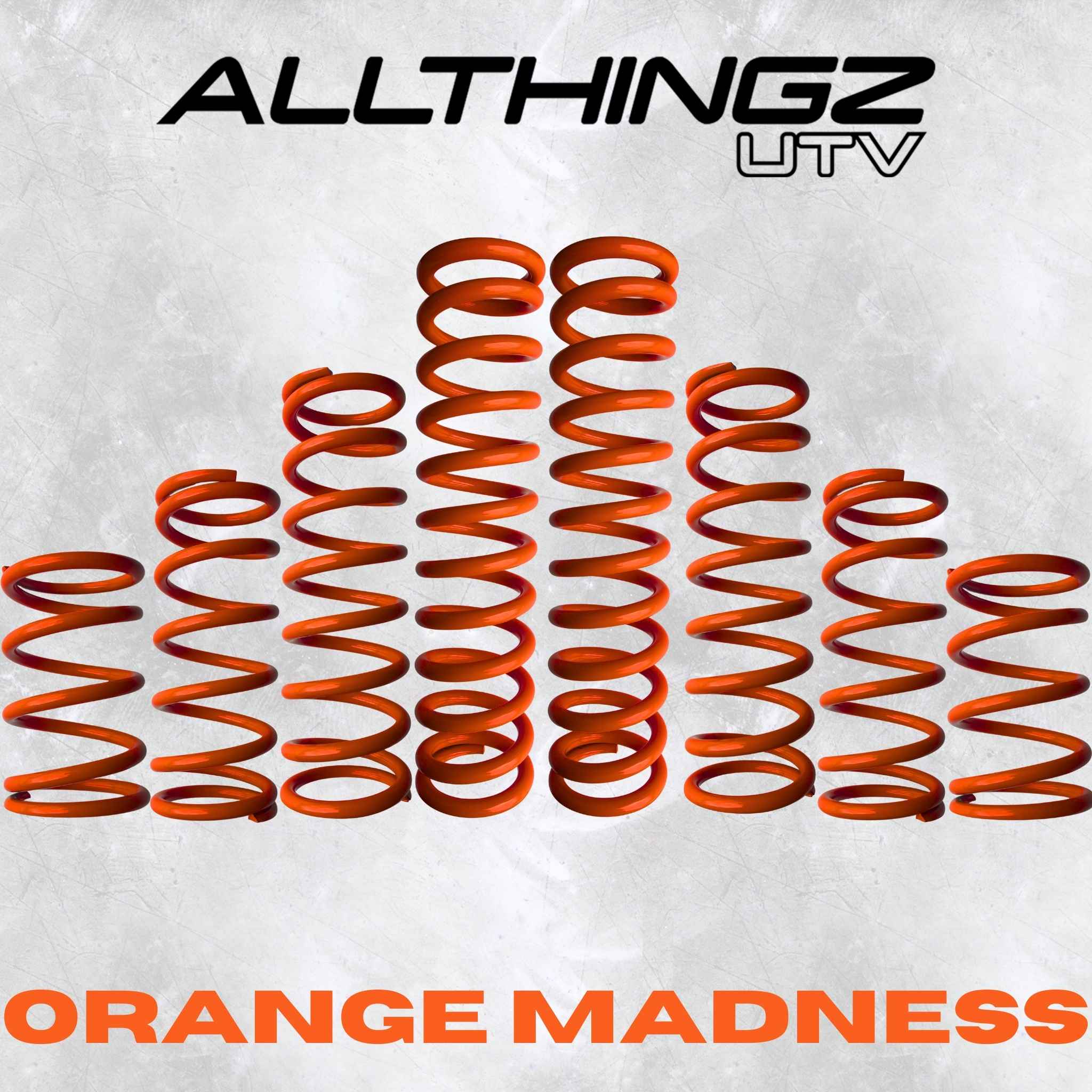 Polaris RZR Pro R 4 Seater Dual Rate Spring Kit