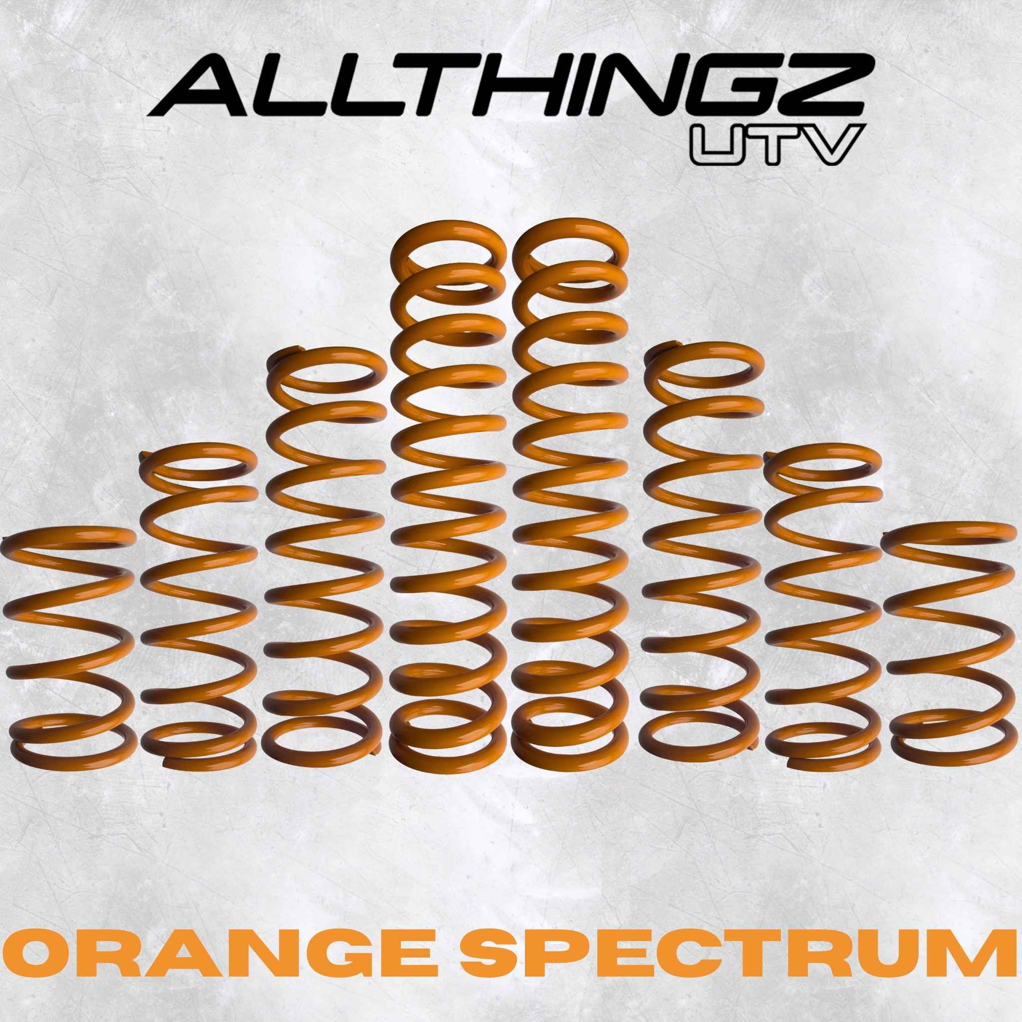 Polaris RZR Pro R 4 Seater Dual Rate Spring Kit