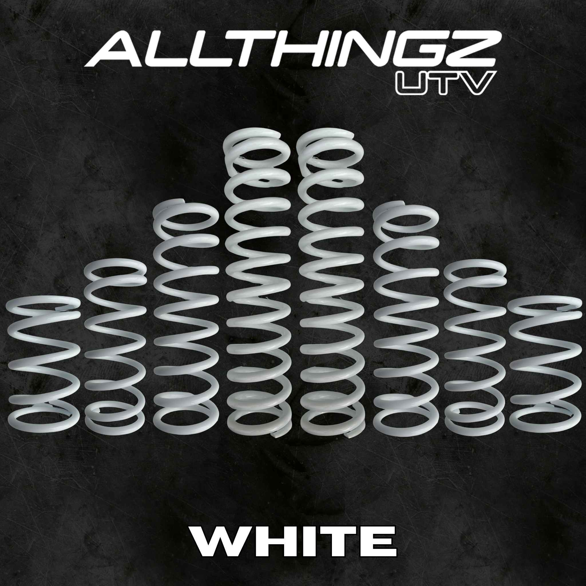 Polaris RZR Pro R 4 Seater Dual Rate Spring Kit